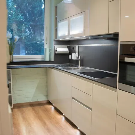 Ring48 Living - Modernes Wohnen Mit Wohlfuehlambiente Mitten Im Stadtzentrum - Vollausgestattete Kueche, Bad Mit Duschbadewanne, Parkplatz Daire Bayreuth